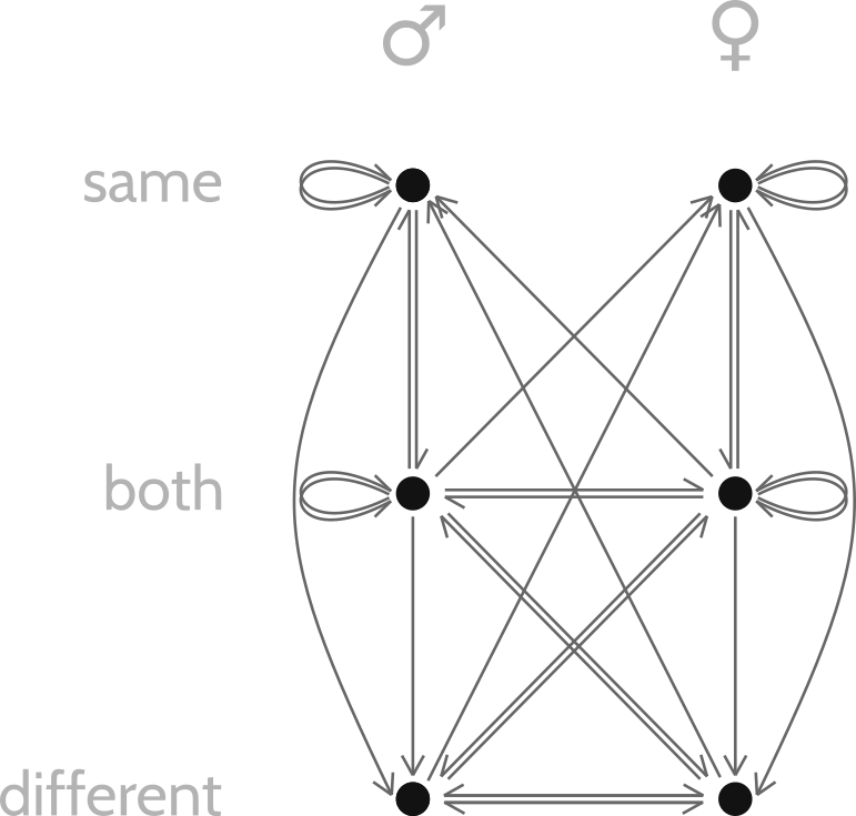 Drawing arrows denoting attraction between the six gender/orientation combinations.