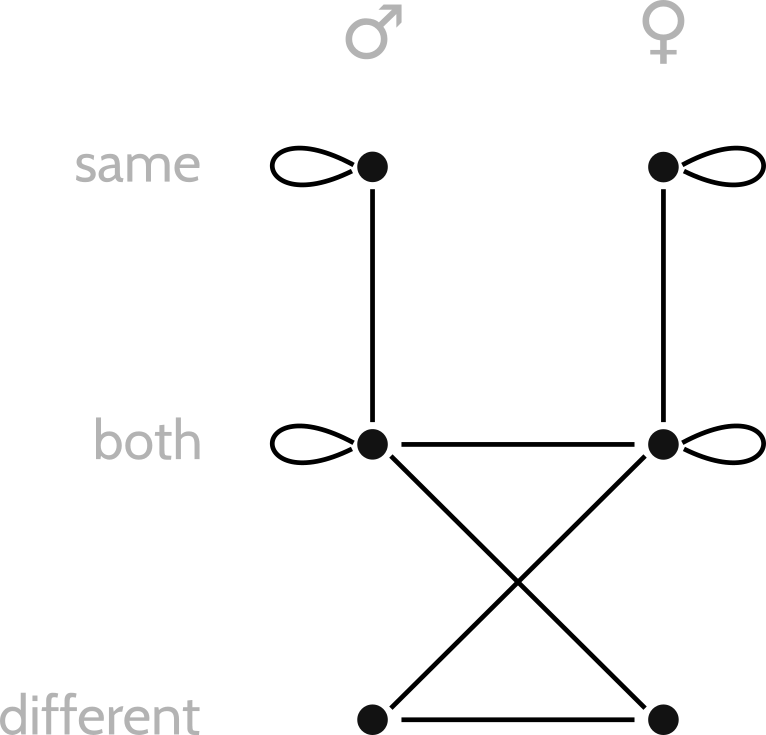 Drawing arrows denoting attraction between the six gender/orientation combinations.